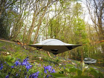 View of the woods and treetop tents