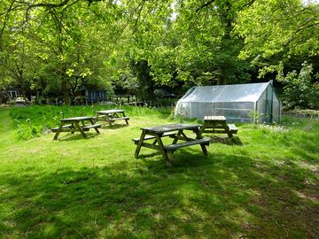 Woodland camp with beautiful secluded setting and tranquil scenery