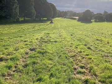 The camping field