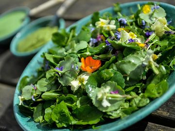 Cotna salad