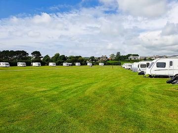 Grass pitches