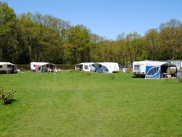 Pitches surrounded by trees