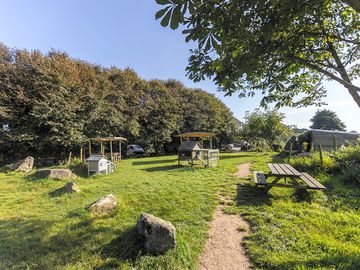 Picnic area by the animals