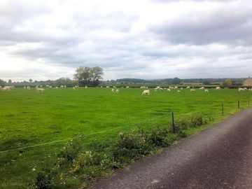 Open camping field