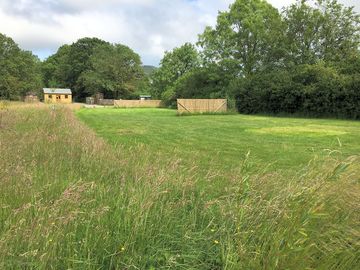 Grassy pitches