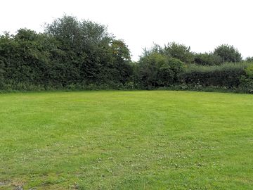 A view of the field