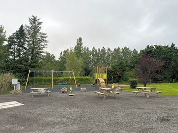 Play area and swing ball