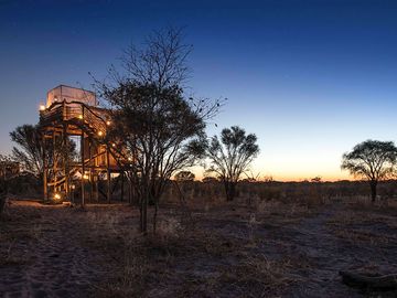 Watch wildlife in the evening from one of the towers