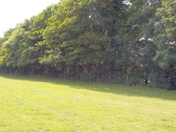 Shaded spots next to the trees