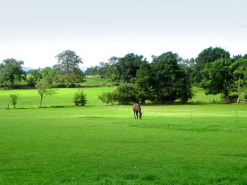 Camping area