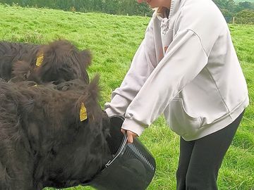 Residents at blaithwaite farm