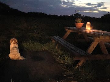 Fabulous evenings ..
