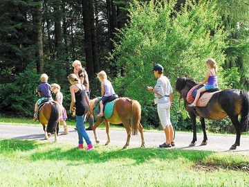 Pony rides