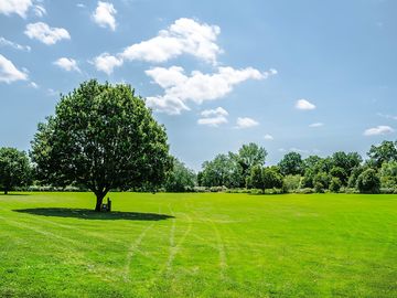 Riverside non-electric camping field