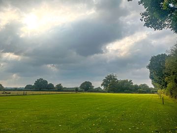 Grass pitches