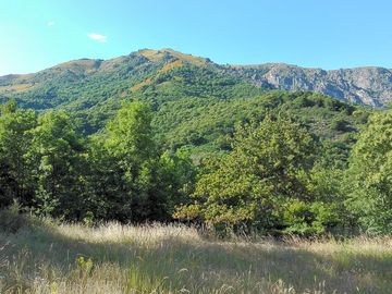 Spectacular surroundings