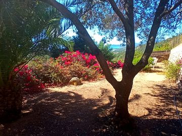 Giardino mediterraneo