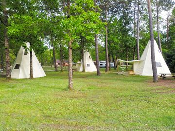 The tipis