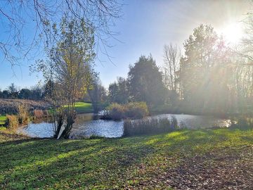 Railway pond