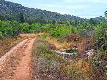 Road leading to the site