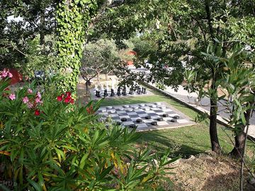 Giant chess board