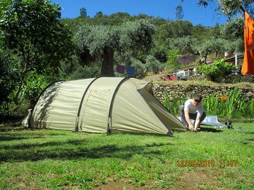 Guests pitching their tent