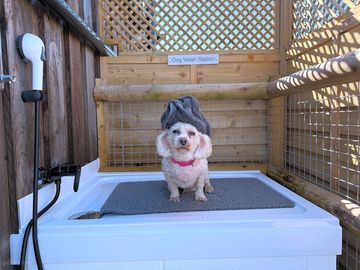 Dog wash station for washing muddy and sandy paws. hot & cold water and shampoo