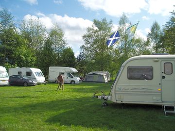 General view of the site