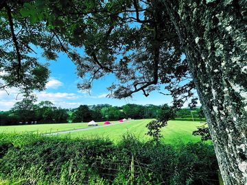 View across the park