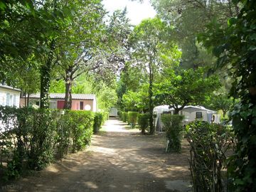Pathway between the pitches
