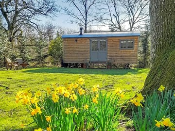 The hut in spring