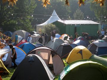 The site