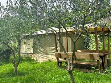 Yurt exterior with a picnic table