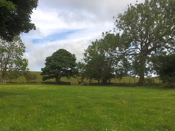 The moors beyond the trees