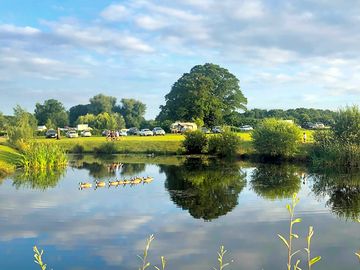 View from the covered outdoor area by the pond and the park