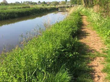 Beautiful walks nearby