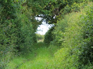 Country walks