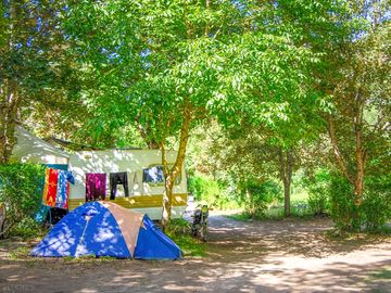 Pitches among the trees