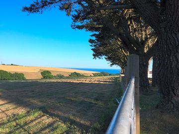 Views