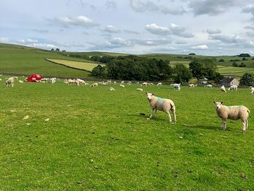View from bell tent