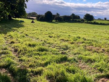 Grassy pitches