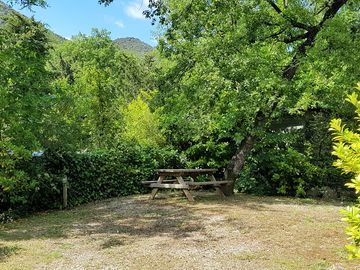 Pitches surrounded by greenery