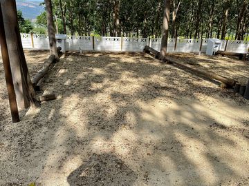 Pitches in the shade