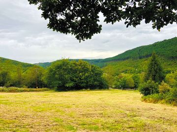 Views from top of the camping meadow