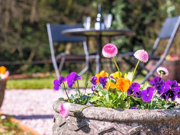 Colourful gardens