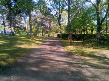 Spacious pitches among the trees