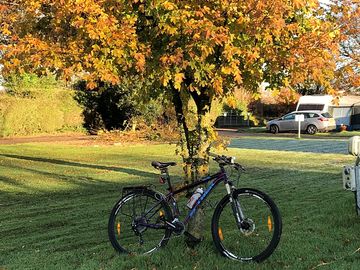 Exploring around the site in autumn