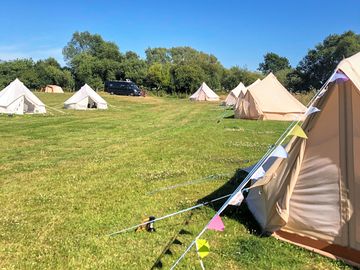 Glamping area on the Parley Estate