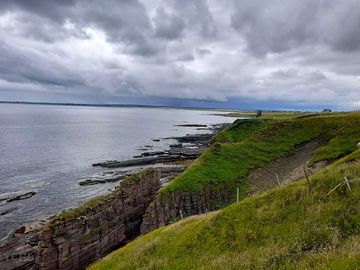 View at the rear of the site