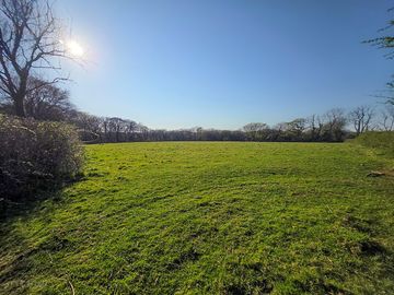 Grass pitches
